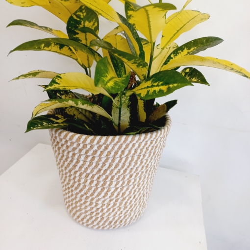Cesto Pot beige - Imagen 3