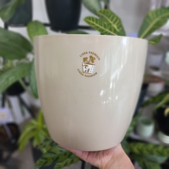 Porta Maceta Redondo N°22