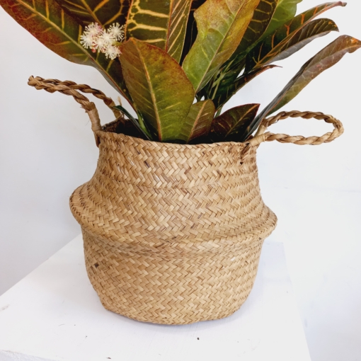 Cesto Seagrass chico - Imagen 2