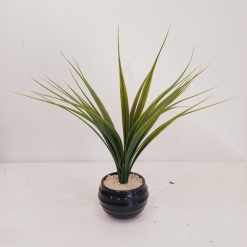 Planta artificial Bols