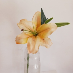 Lilium Artificial