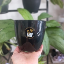 Porta Maceta Redondo N°12