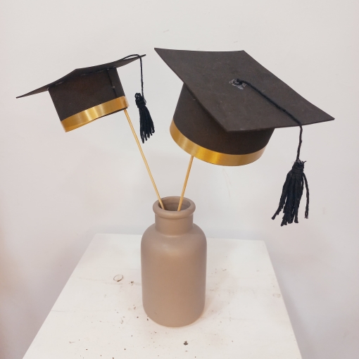 Gorro graduación