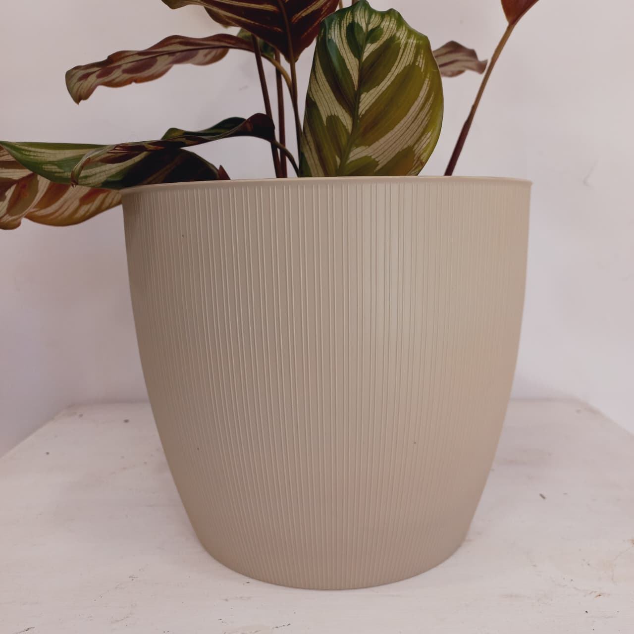 Maceta Paris Nº 22 - Imagen 2