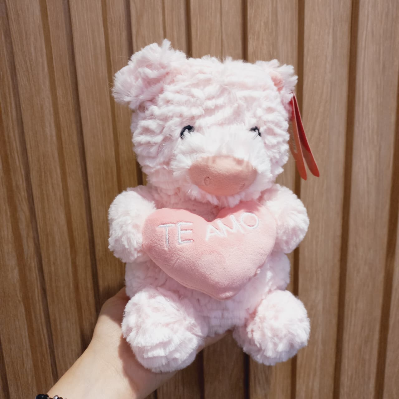 Chancho con corazón