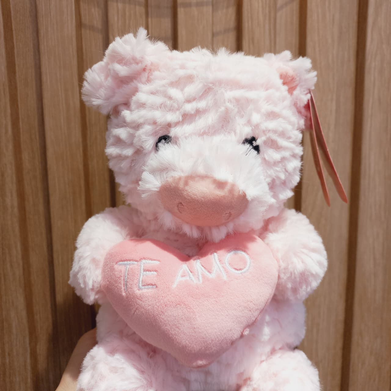 Chancho con corazón - Imagen 2