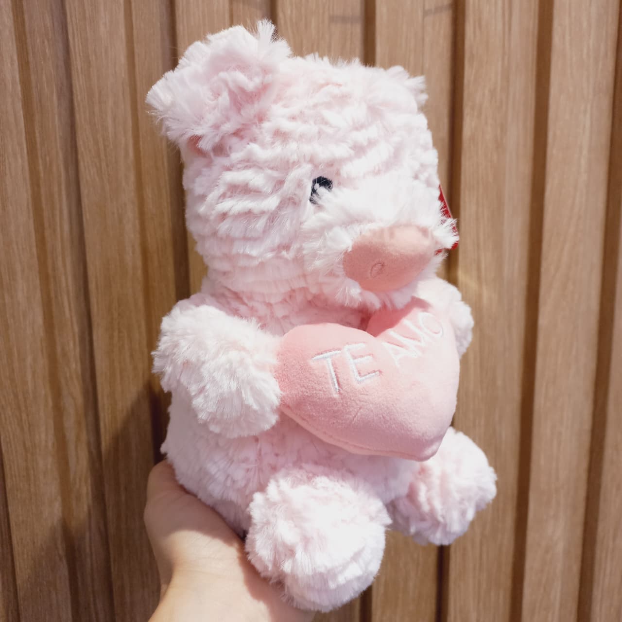 Chancho con corazón - Imagen 3