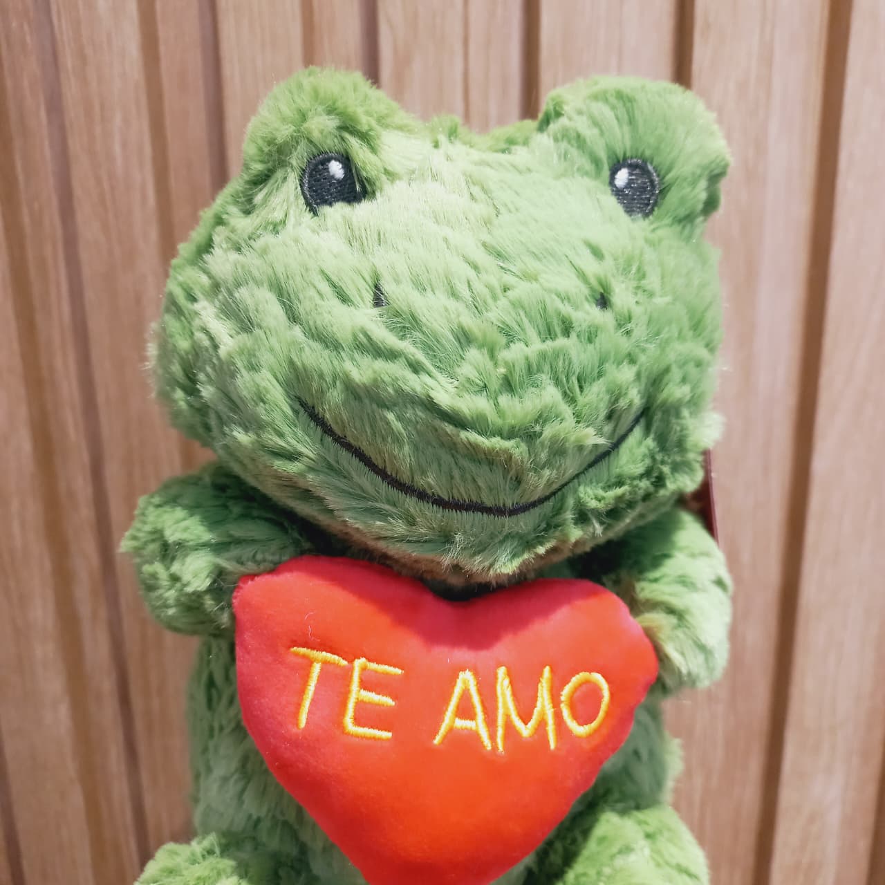 Sapo con corazón - Imagen 2