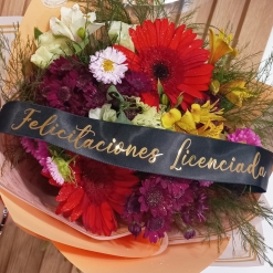 Banda "Felicitaciones Licenciada"
