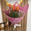 Tulipanes