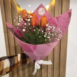 Tulipanes