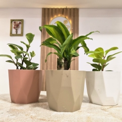 Maceta Facetada N° 16