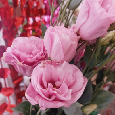 Lisianthus