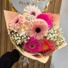 Gerberas