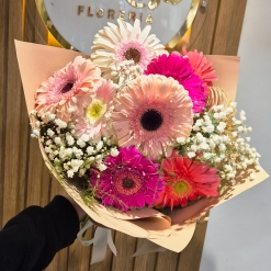Gerberas